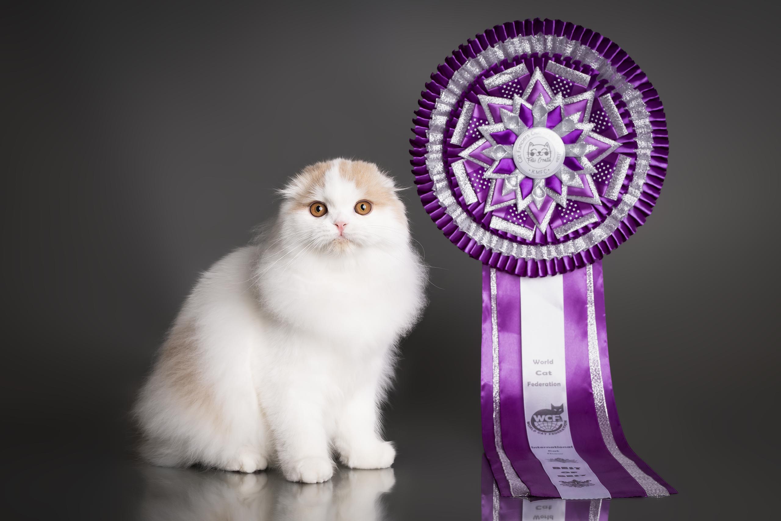 Triple Master, CH. WCF TRM Majestic Velvet Soles Harvey